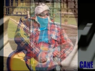 CANE NIKOLOVSKI - EDNA DUŠA