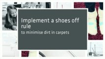 Owners Guide to Carpet Care