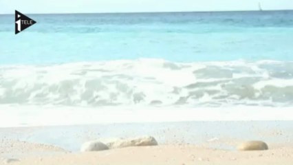 Cassis retrouve le sourire