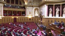 Le Sénat adopte le projet de loi sur le mariage homosexuel