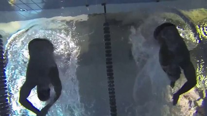 Torino, - 26° Campionato Italiano VV.F. di Nuoto (11.04.13)