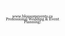 Professional Wedding & Event Planning. Wedding & Event Planner.