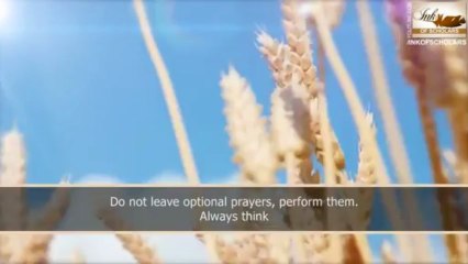 [ENG] Getting KO'd in Salaah- Shaykh Zulfiqar Ahmad - YouTube