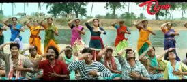 Gouravam Movie Theatrical Trailer - Allu Sirish - Yami Gautam