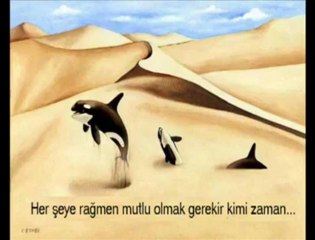 Bir Matematikçiden... Güzel bir video.. _ Facebook