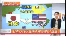 TPP交渉参加で日米合意　勝負はこれから？