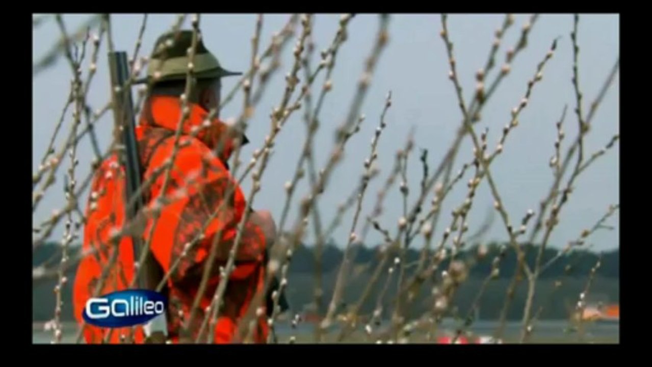 galileo 'Flughafen: Was soll das?' korrektur