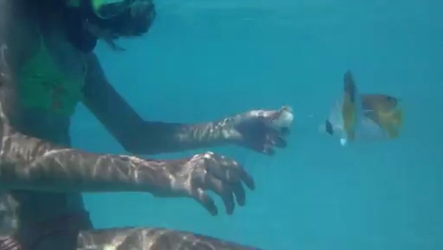 Juliette et deux poissons papillons