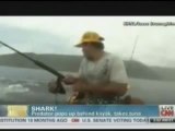 Tiger Shark Takes Fisherman Tuna.