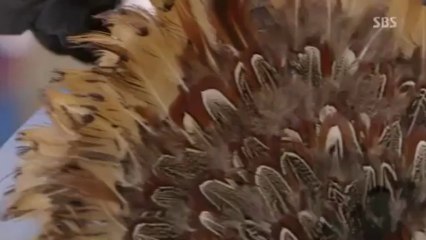 태양성카지노 ❤卐➳ ✯♛ ☛ GGO233.COM ☚ ♛✯➳ 卐❤ 월드카지노