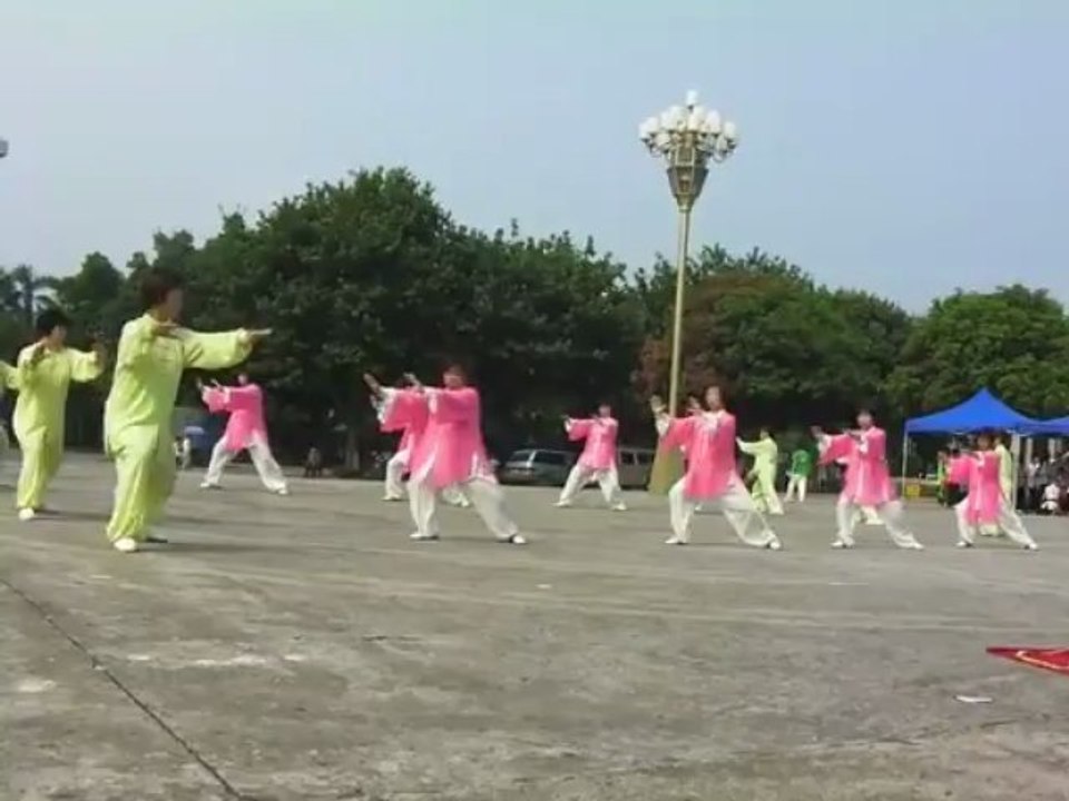 Tai Chi Lyon | Taichi chuan Yang_Xin Hui China