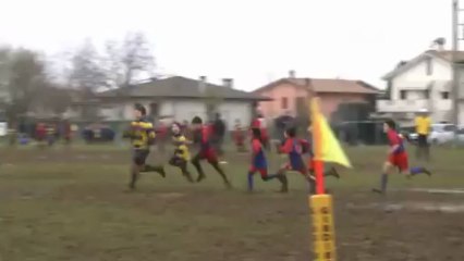 IL PLACCAGGIO DELLE PICCOLE VOLPI