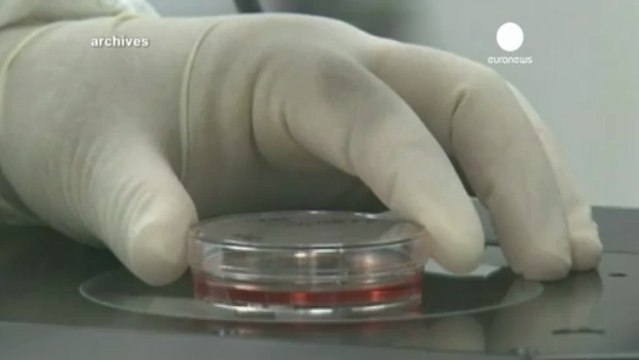Vatican adult stem cell conference seeks to promote...