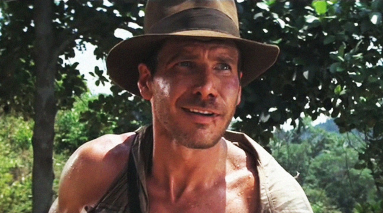 Harrison Ford: The Space Cowboy.