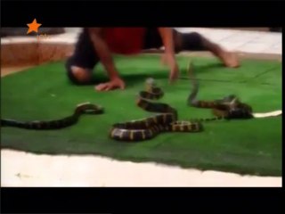 Смотреть 1304