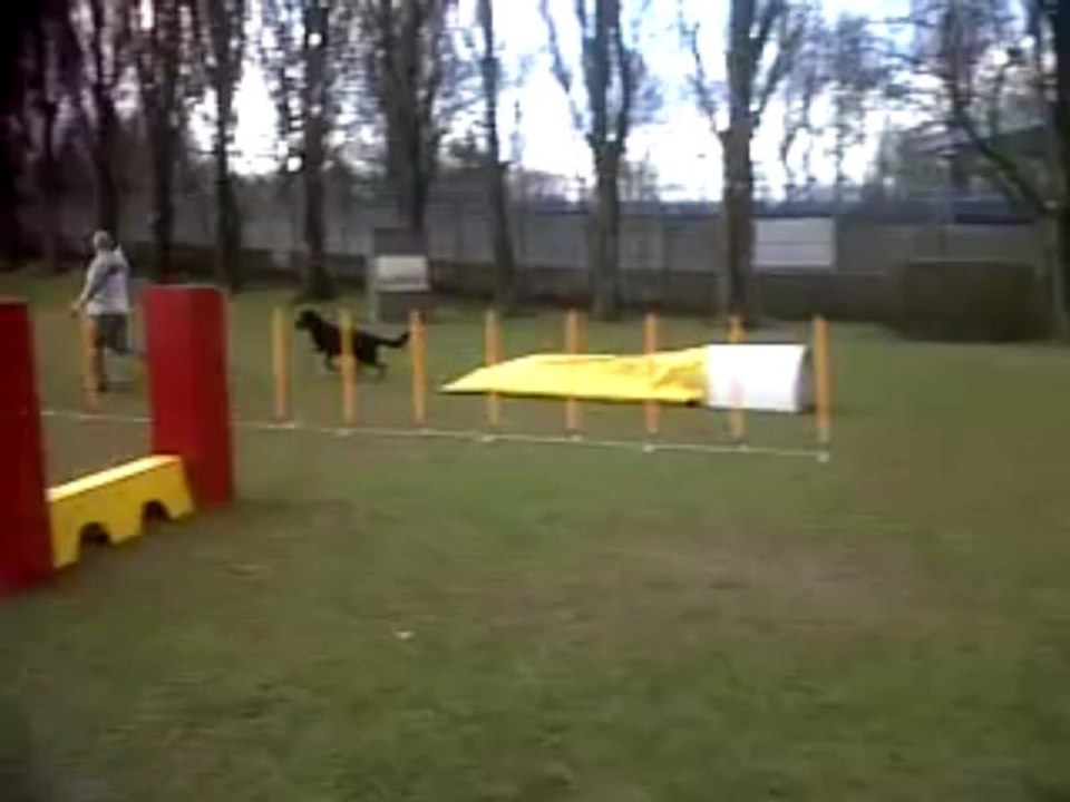 Fastoche à l'agility