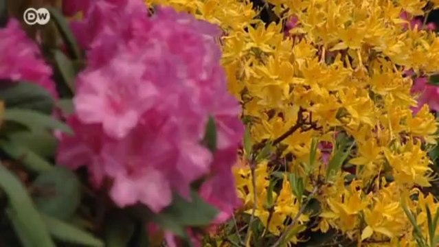 Lake Constance: History Meets Alpine Beauty | Discover Germany