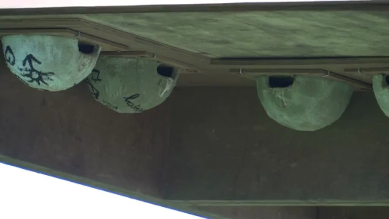 Tour à hirondelles (La Chaise-10, le 13 avril 2013) (1)