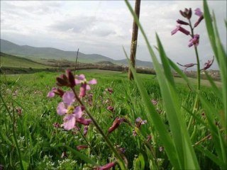 İsmail Özden _ Kıvırcık Ali - Derdo