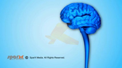 Intro - Bay Clinic Of Chiropractic  - Upload Done