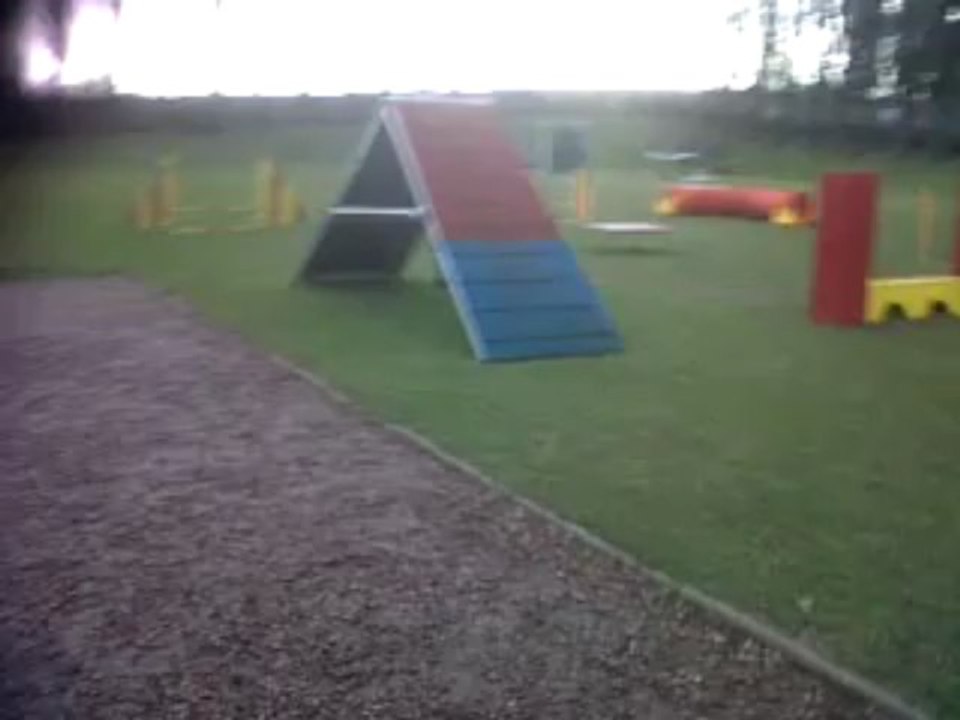 Zara à l'agility