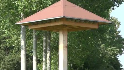 Tour à hirondelles (Hampigny-10, le 27 juillet 2012)