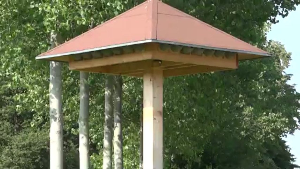 Tour à hirondelles (Hampigny-10, le 27 juillet 2012)