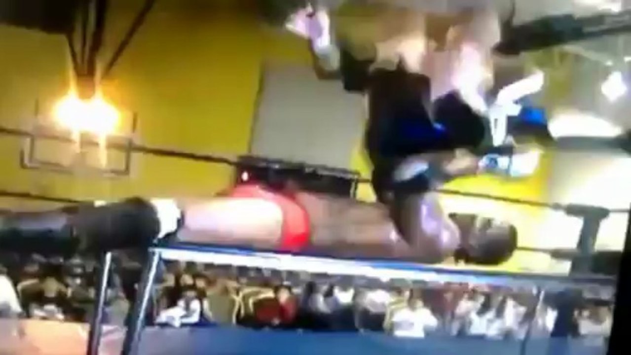Botchamania 229