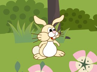 Mon petit lapin s'est sauvé