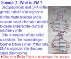 Biology Experiment - How to Extract DNA from onion