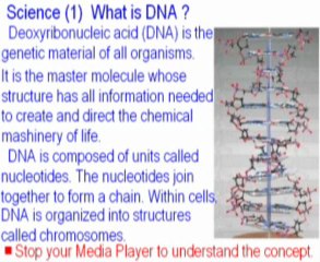 Biology Experiment - How to Extract DNA from onion