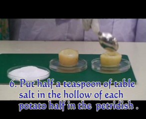 Biology Experiment Osmosis