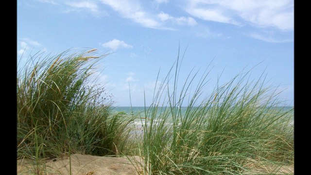 Démons et merveilles.