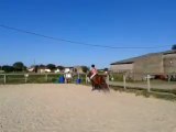 équitation, c'est ma vie, galop 4
