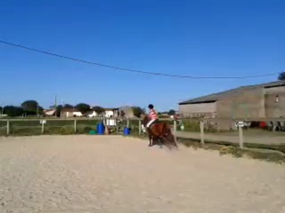 équitation, c'est ma vie, galop 4