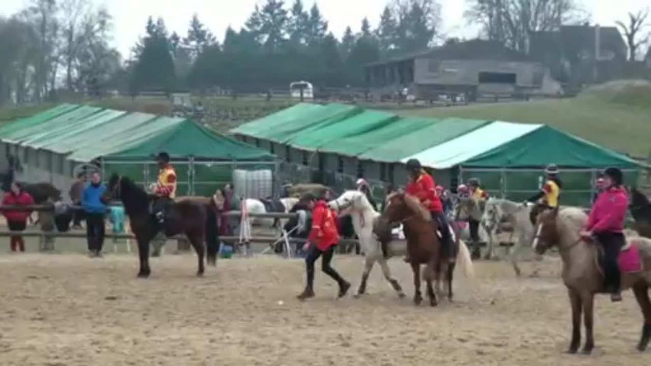 Pony Games La Bonde 2013 Manche 2 Cadets Logis du Poney