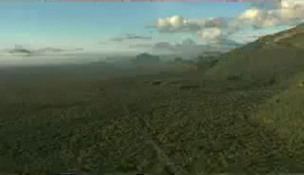 Arı Oğul Vererek Ağaça Kovuğuna Girmesi