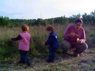 Les loulous à la campagne