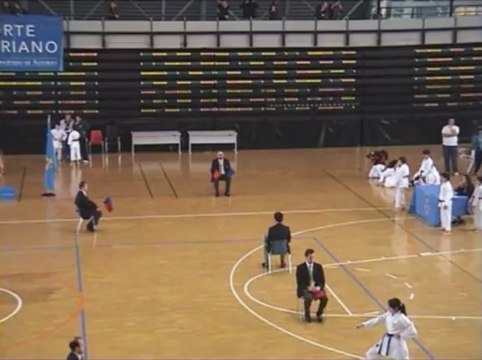 Final JJ.EE Principado de Asturias de karate 2013,Langreo