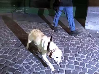 Napoli - Falso allarme bomba al Comune -2- (13.04.13)