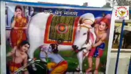 gau raksha dal himachal