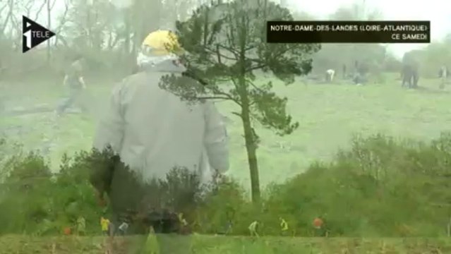 Sème ta zad à Notre-Dame-Des-Landes