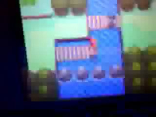 Pokémon perle mon équipe avec 2 badges