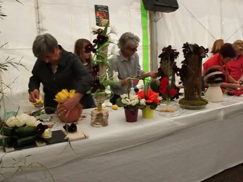 2013 Avril. SOUSTONS (Fête Tulipe. Atelier floral 3-3)