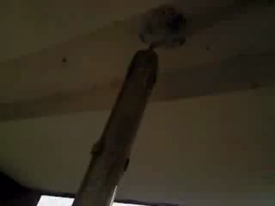 MOV00558