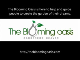 The Garden Of Your Dreams - The Blooming Oasis http___theblo