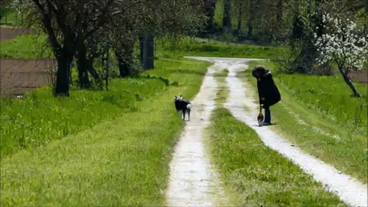 Dany et son mini circus