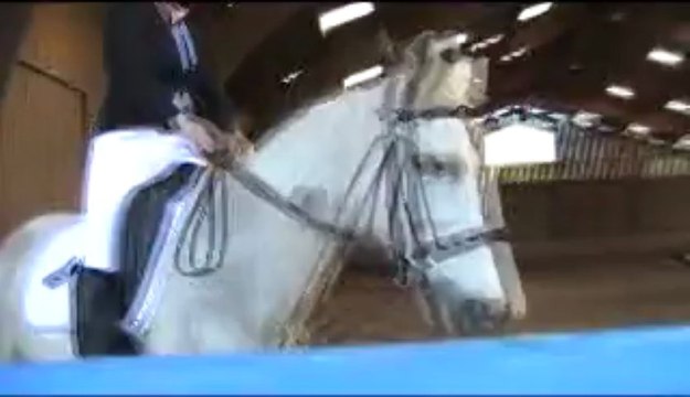 Concours dressage Béa