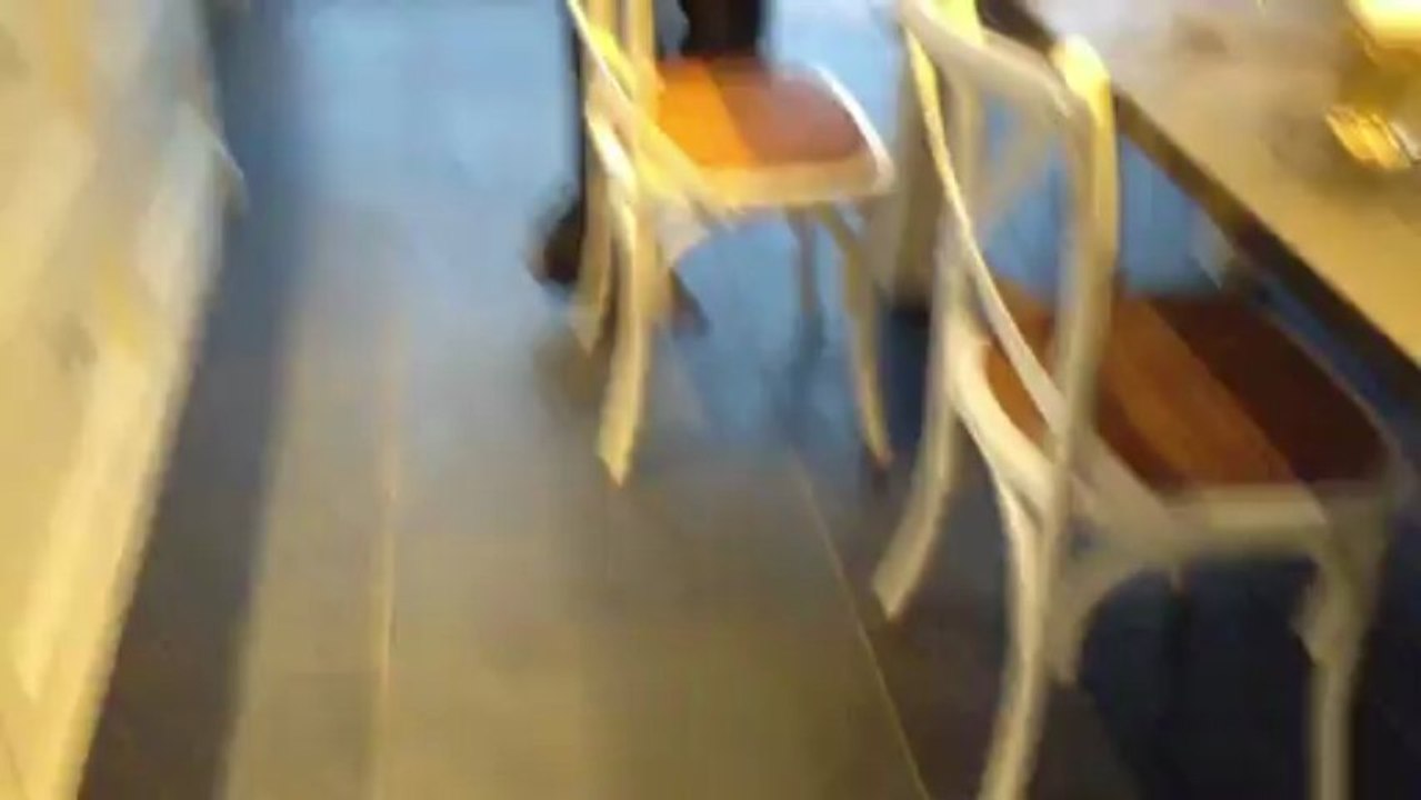 Chien tourne en rond avec une serviette en bouche