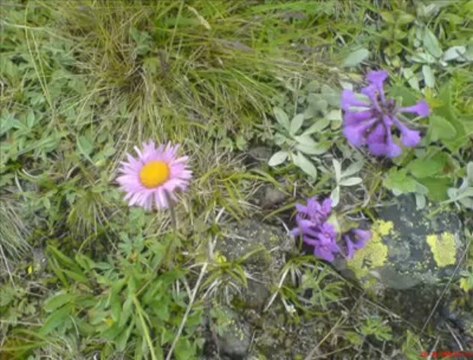 Yarsesli Götveren Orospu Cocugu Seni